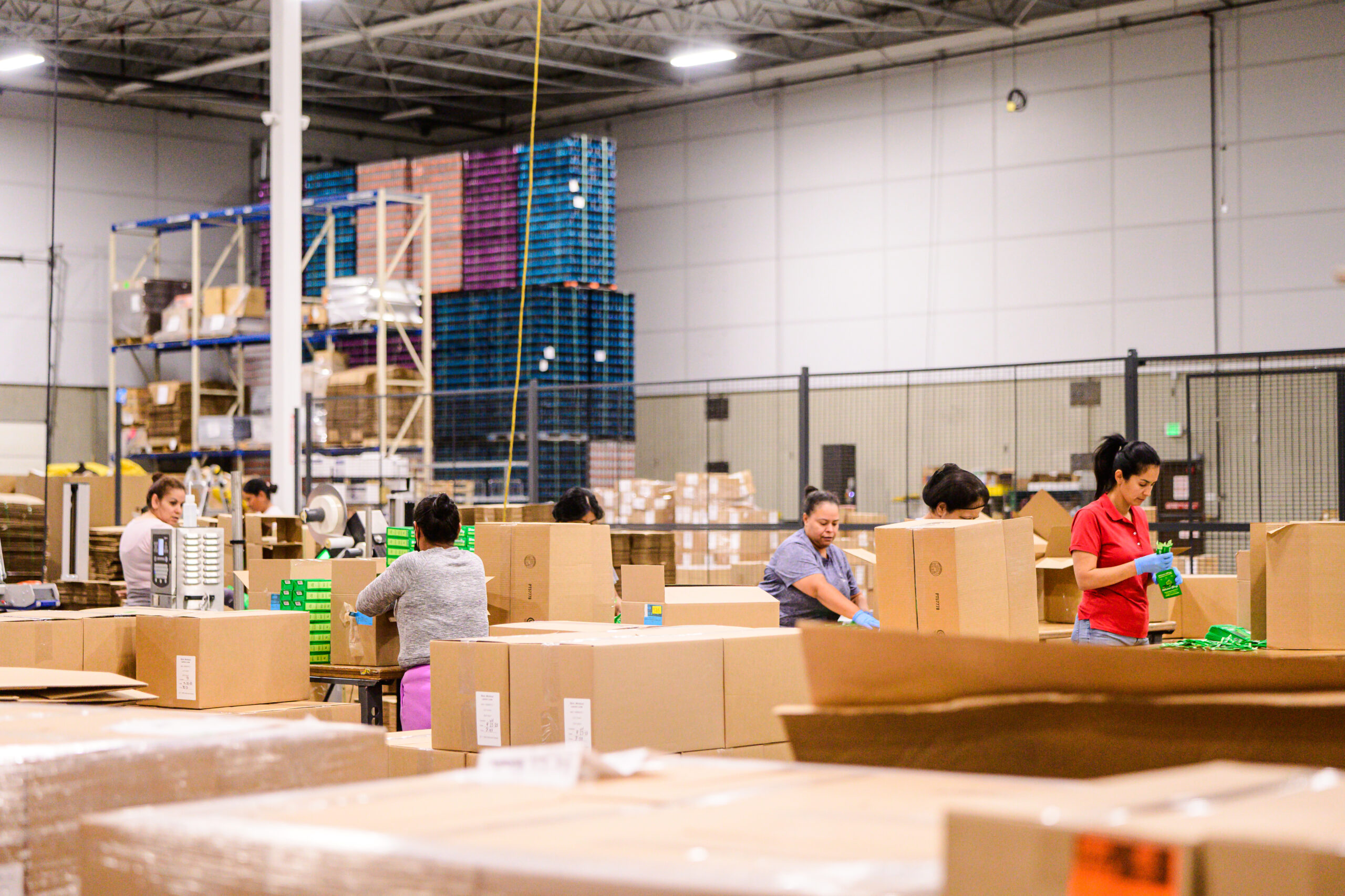 Kitting & Subscription Boxes